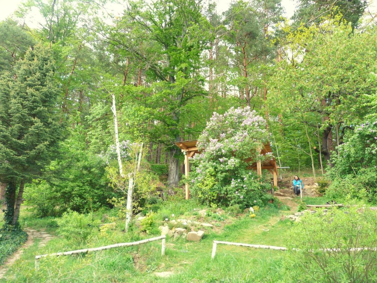 Chaloupka U Sv. Dyndy Nová Ves Exterior foto