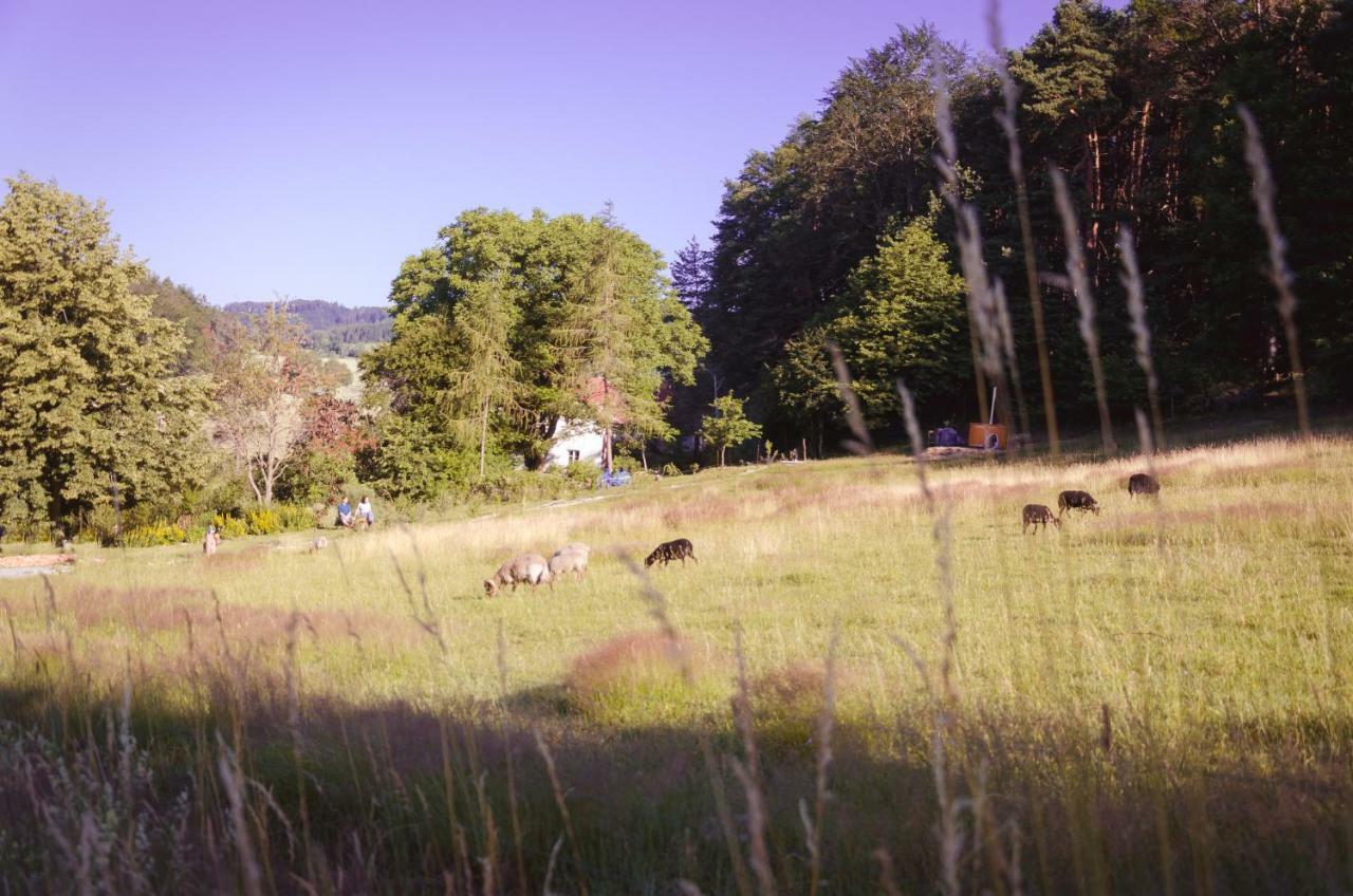 Chaloupka U Sv. Dyndy Nová Ves Exterior foto
